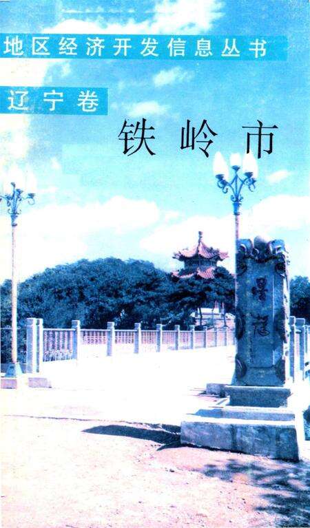 地区经济开发信息丛书 辽宁卷 铁岭市.pdf电子版_辽宁省志缩略图
