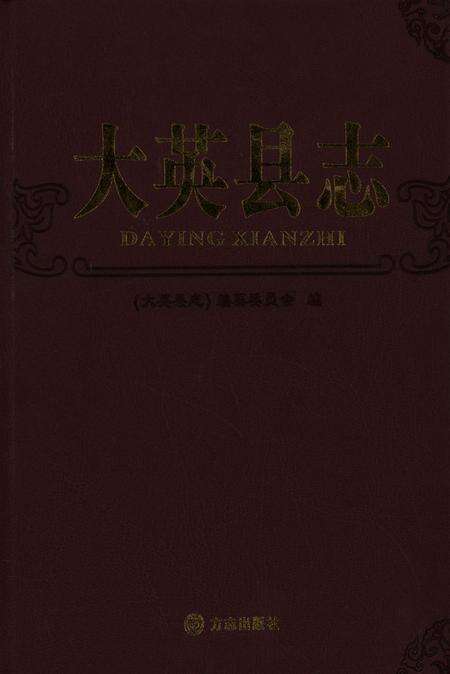 大英县志.pdf电子版_四川省志缩略图