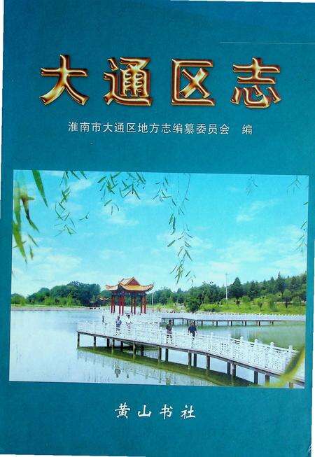 大通区志.pdf电子版_安徽省志缩略图