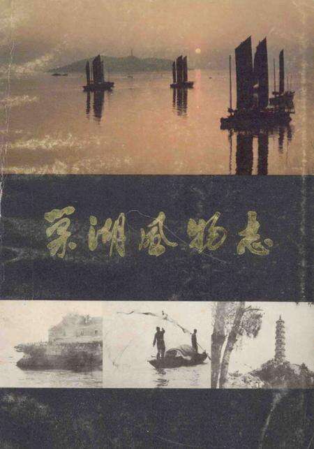 1983版巢湖风物志.pdf电子版_安徽省志缩略图