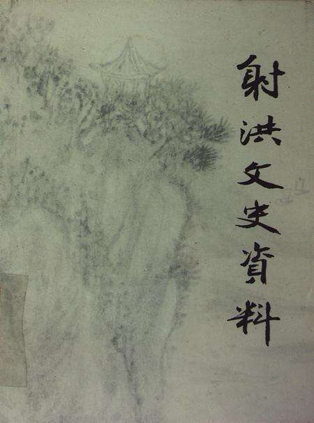 射洪文史资料（第八辑）.pdf电子版_四川省志缩略图