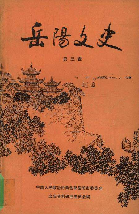 岳阳文史第三辑.pdf电子版_湖南省志缩略图