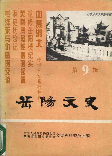 岳阳文史第九辑.pdf电子版_湖南省志缩略图