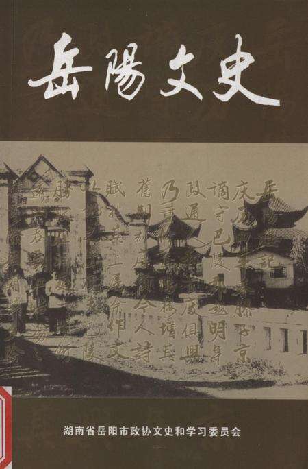 岳阳文史第十六辑.pdf电子版_湖南省志缩略图