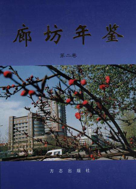 廊坊年鉴 第二卷.pdf电子版_河北省志缩略图