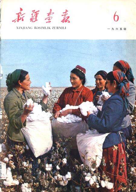新疆画报1965年第06期.pdf电子版_新疆维吾尔族自治区志缩略图