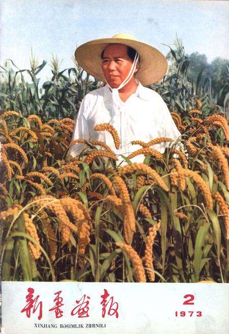 新疆画报1973年第02期.pdf电子版_新疆维吾尔族自治区志缩略图