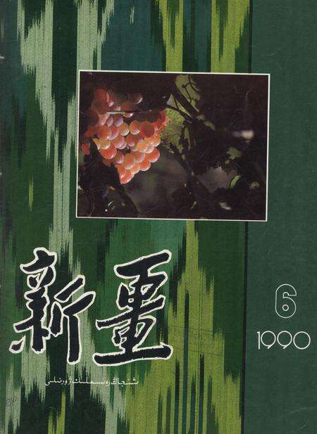 新疆画报1990年第06期.pdf电子版_新疆维吾尔族自治区志缩略图