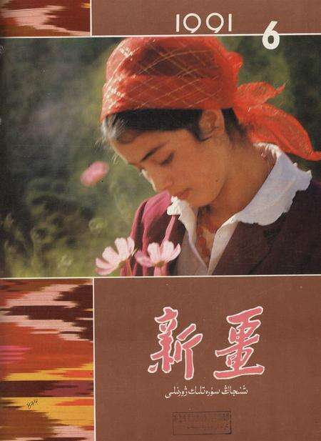 新疆画报1991年第06期.pdf电子版_新疆维吾尔族自治区志缩略图