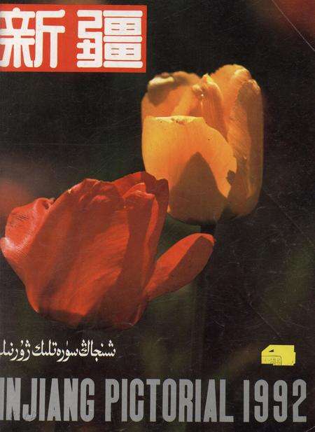 新疆画报1992年第04期.pdf电子版_新疆维吾尔族自治区志缩略图