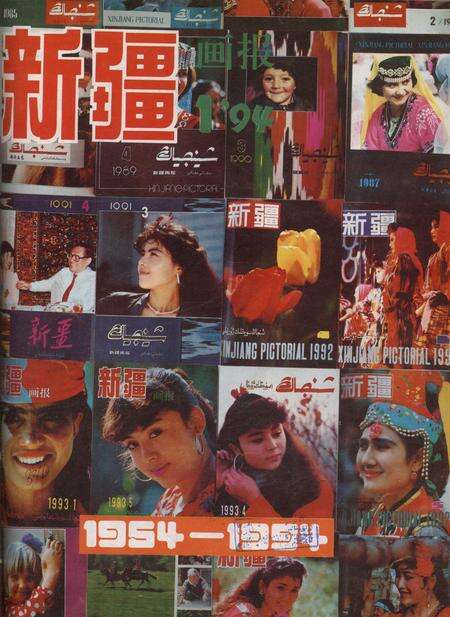 新疆画报1994年第01期.pdf电子版_新疆维吾尔族自治区志缩略图
