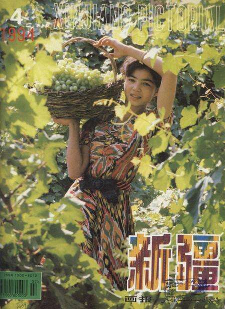新疆画报1994年第04期.pdf电子版_新疆维吾尔族自治区志缩略图