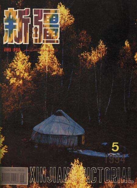 新疆画报1994年第05期.pdf电子版_新疆维吾尔族自治区志缩略图