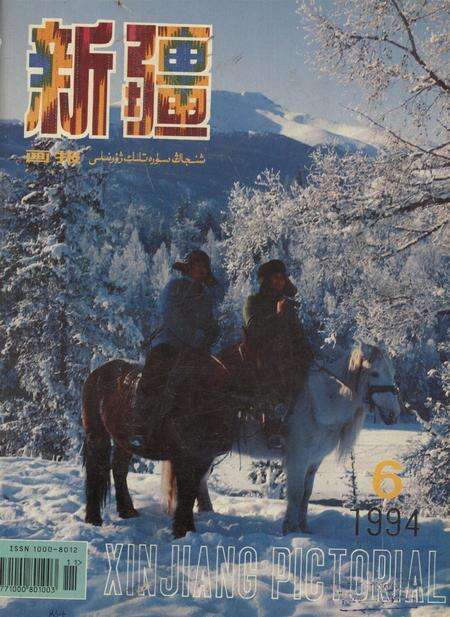 新疆画报1994年第06期.pdf电子版_新疆维吾尔族自治区志缩略图