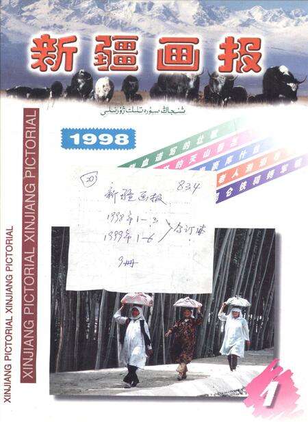 新疆画报1998年第01期.pdf电子版_新疆维吾尔族自治区志缩略图