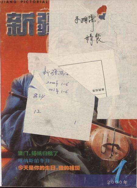 新疆画报2000年第01期.pdf电子版_新疆维吾尔族自治区志缩略图