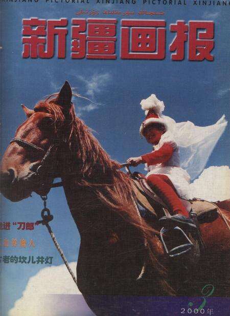 新疆画报2000年第03期.pdf电子版_新疆维吾尔族自治区志缩略图