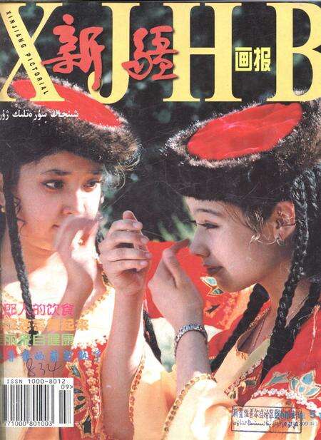 新疆画报2001年第05期.pdf电子版_新疆维吾尔族自治区志缩略图