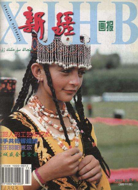 新疆画报2001年第06期.pdf电子版_新疆维吾尔族自治区志缩略图
