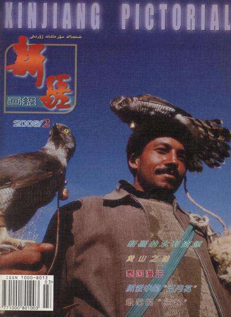 新疆画报2006年第02期.pdf电子版_新疆维吾尔族自治区志缩略图