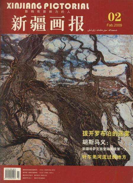新疆画报2009年第02期.pdf电子版_新疆维吾尔族自治区志缩略图