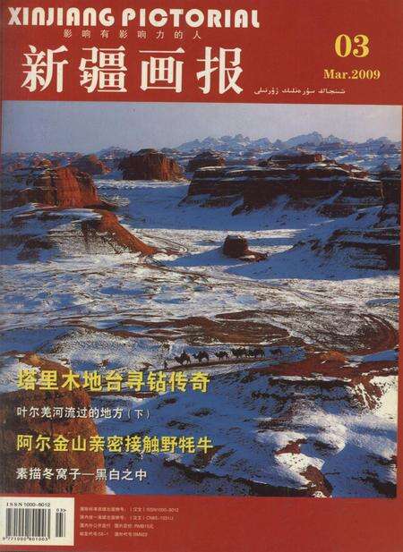 新疆画报2009年第03期.pdf电子版_新疆维吾尔族自治区志缩略图