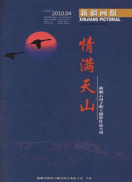 新疆画报2010年第04期.pdf电子版_新疆维吾尔族自治区志缩略图