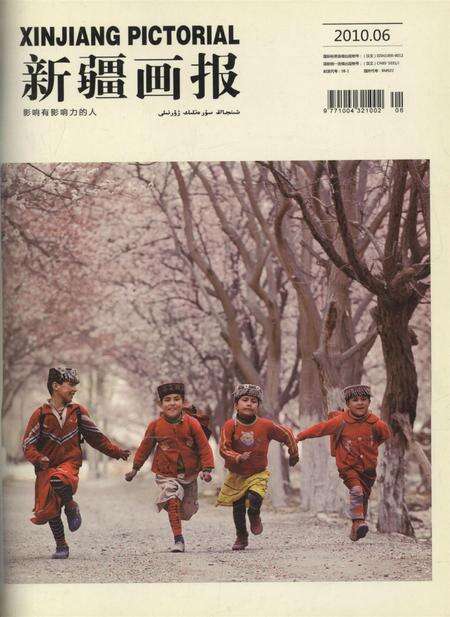 新疆画报2010年第06期.pdf电子版_新疆维吾尔族自治区志缩略图