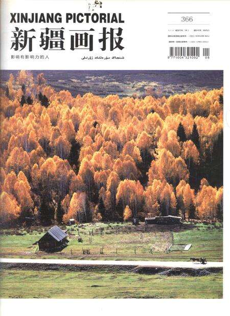 新疆画报2010年第08期.pdf电子版_新疆维吾尔族自治区志缩略图
