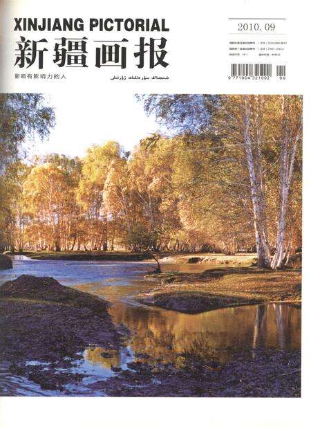 新疆画报2010年第09期.pdf电子版_新疆维吾尔族自治区志缩略图