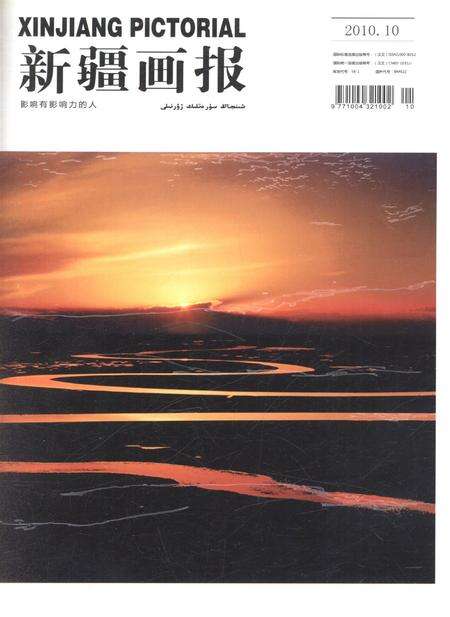 新疆画报2010年第10期.pdf电子版_新疆维吾尔族自治区志缩略图