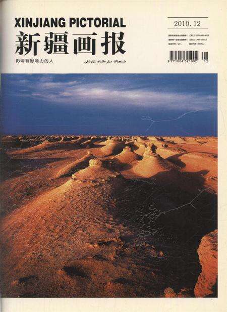 新疆画报2010年第12期.pdf电子版_新疆维吾尔族自治区志缩略图