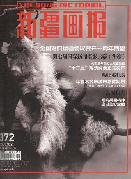 新疆画报2011年第04期.pdf电子版_新疆维吾尔族自治区志缩略图