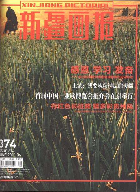 新疆画报2011年第06期.pdf电子版_新疆维吾尔族自治区志缩略图