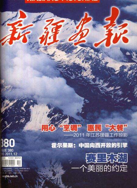 新疆画报2011年第12期.pdf电子版_新疆维吾尔族自治区志缩略图