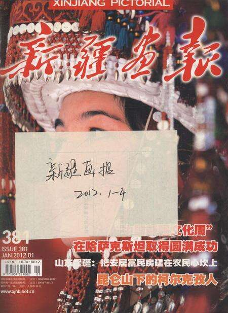 新疆画报2012年第01期.pdf电子版_新疆维吾尔族自治区志缩略图