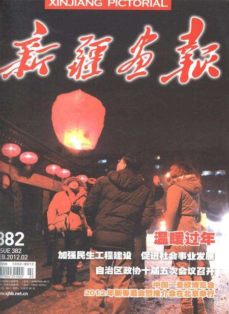新疆画报2012年第02期.pdf电子版_新疆维吾尔族自治区志缩略图