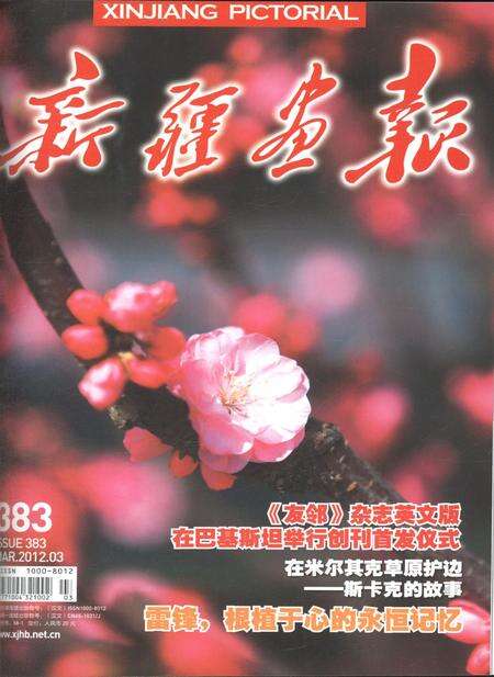 新疆画报2012年第03期.pdf电子版_新疆维吾尔族自治区志缩略图