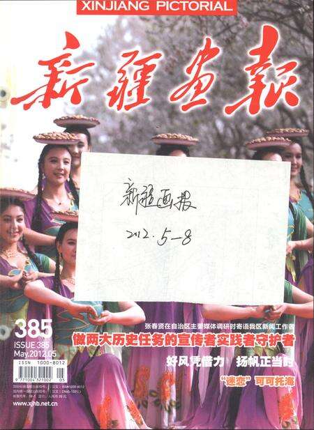 新疆画报2012年第05期.pdf电子版_新疆维吾尔族自治区志缩略图