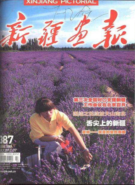 新疆画报2012年第07期.pdf电子版_新疆维吾尔族自治区志缩略图