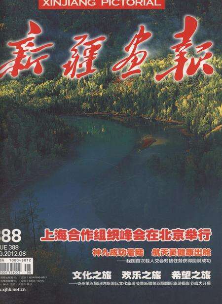 新疆画报2012年第08期.pdf电子版_新疆维吾尔族自治区志缩略图