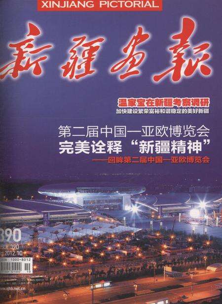 新疆画报2012年第10期.pdf电子版_新疆维吾尔族自治区志缩略图