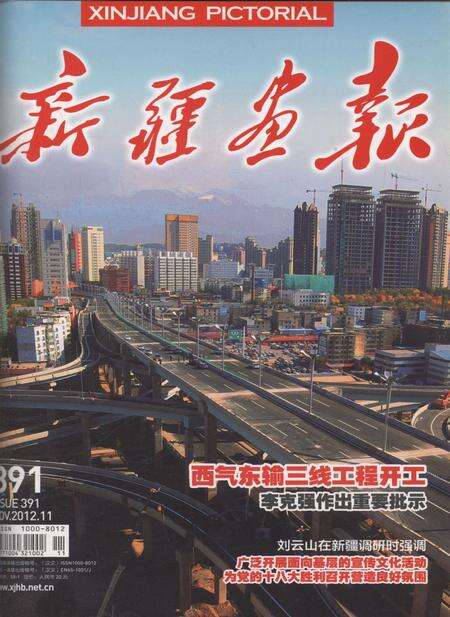 新疆画报2012年第11期.pdf电子版_新疆维吾尔族自治区志缩略图