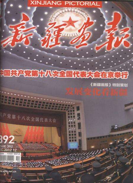 新疆画报2012年第12期.pdf电子版_新疆维吾尔族自治区志缩略图