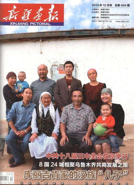 新疆画报2013年第12期.pdf电子版_新疆维吾尔族自治区志缩略图