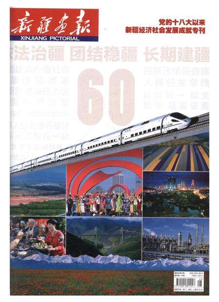 新疆画报2015年第08期.pdf电子版_新疆维吾尔族自治区志缩略图