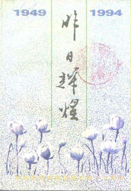 -丹东文史资料  第10辑  昨日辉煌  纪念丹东市政协成立四十五周年.pdf电子版_辽宁省志缩略图