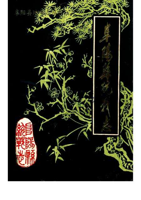 1985版阜阳县统战志.pdf电子版_安徽省志缩略图