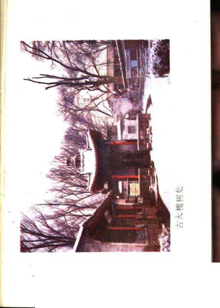 1988-洪洞古大槐树志.pdf电子版_山西省志预览图1