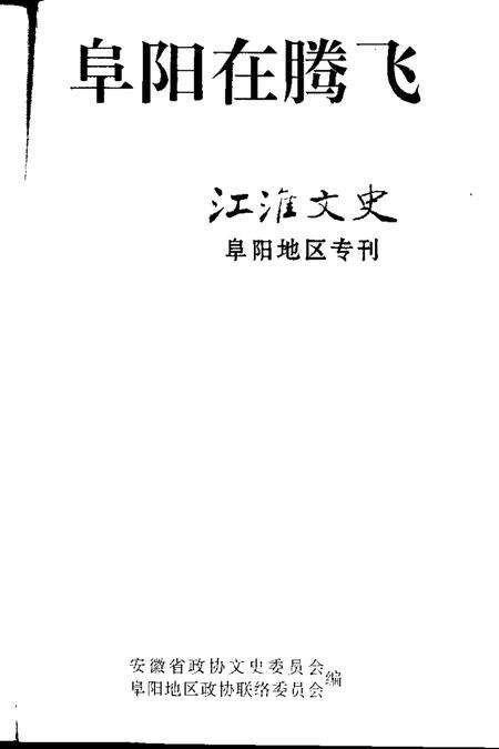1995版江淮文史  阜阳在腾飞.pdf电子版_安徽省志预览图1